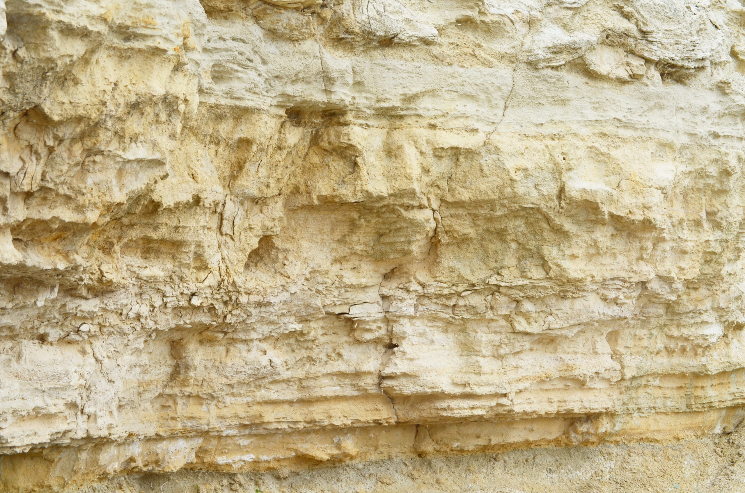 Warm limestone texture